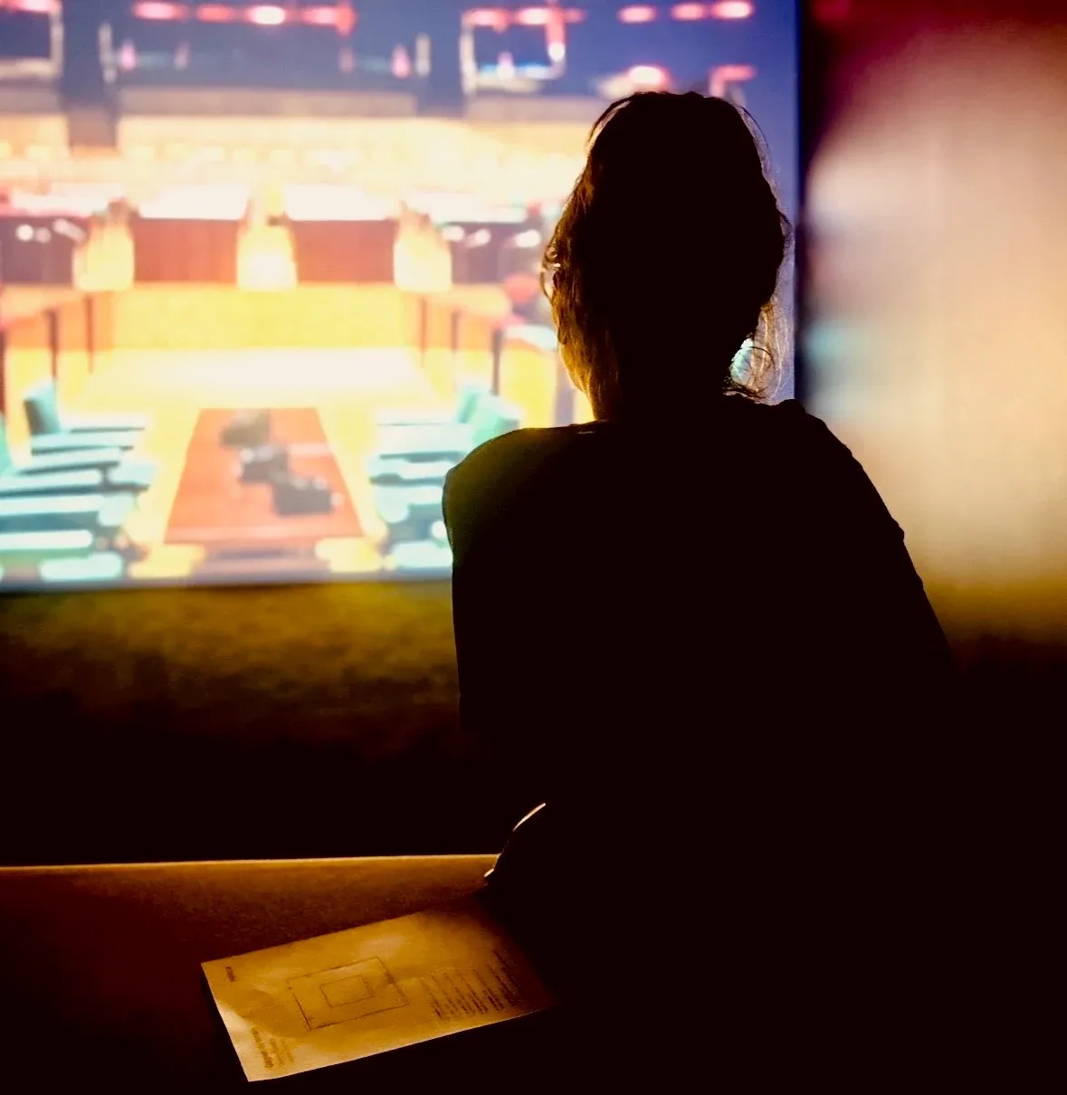 Catherine Barreira, de dos, face à la projection d’un intérieur