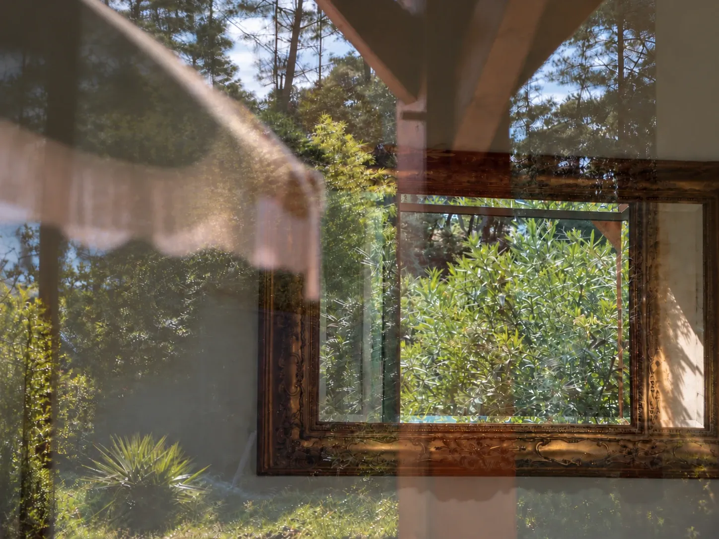 Reflets d’un jardin de pins dans une baie vitrée : un store à franges, un miroir au cadre doré et la végétation qui s’y superpose